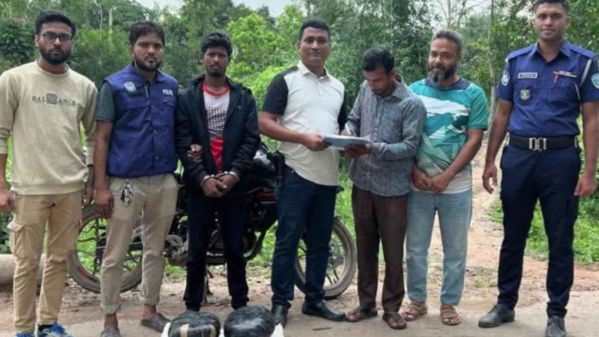 বুড়িচংয়ে মাদকবিরোধী অভিযানে ১০ কেজি গাঁজা উদ্ধার, গ্রেফতার ১