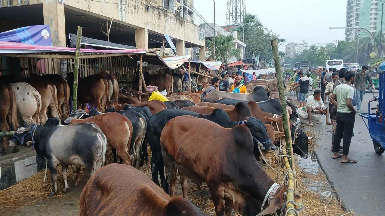 দীর্ঘ এলাকাজুড়ে কমলাপুর হাট, সময়ের সঙ্গে বাড়ছে ভিড়