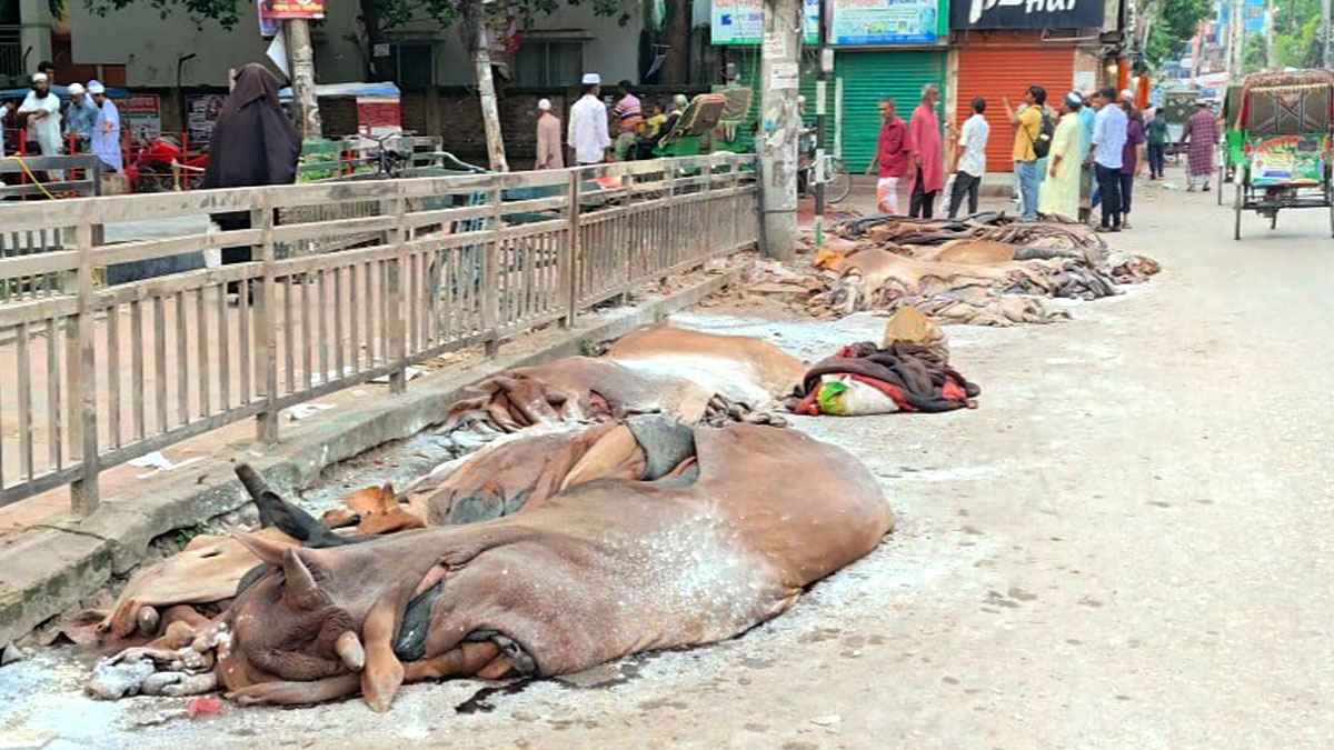 ক্রেতা না থাকায় সড়কেই চামড়া ফেলে গেলেন মৌসুমী ব্যবসায়ীরা