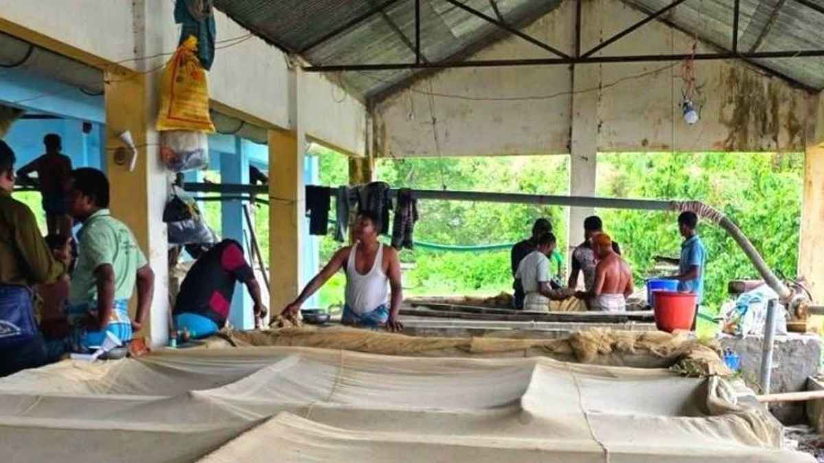 হালদা নদীতে প্রাপ্ত ডিম থেকে উৎপাদিত রেনু বিক্রি শুরু মঙ্গলবার