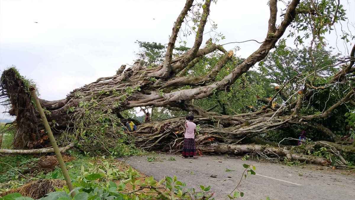 নওগাঁয় ঝড়ে লন্ডভন্ড বাড়িঘর-দোকানপাট