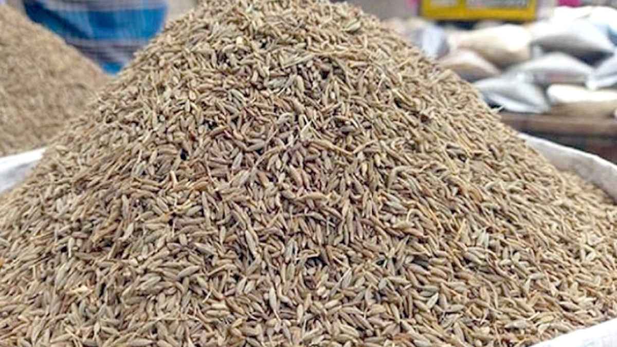 হিলি বাজারে কমেছে জিরার দাম, স্বস্তিতে ক্রেতারা