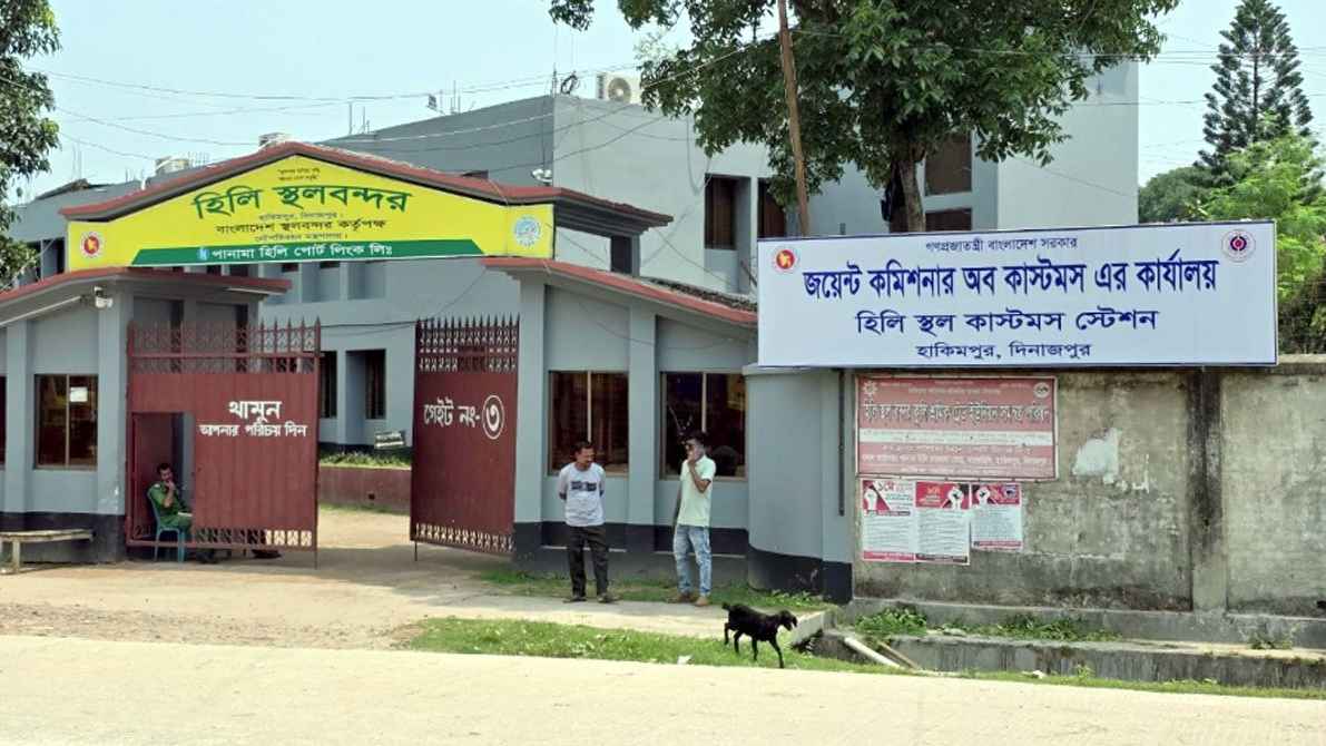 কুয়াকাটা সমুদ্র সৈকতে অলিভ রিডলি কচ্ছপ উদ্ধার