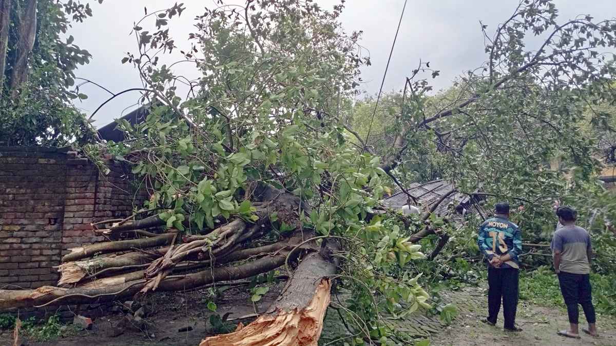 বোচাগঞ্জে ঝড়ে গাছের ডাল পড়ে নারীর মৃত্যু