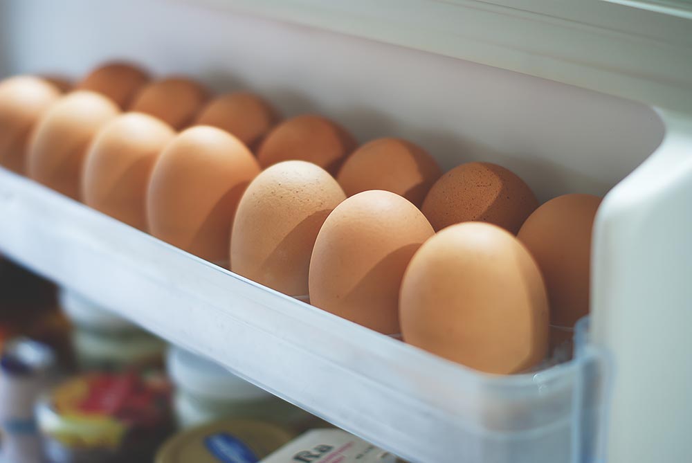 egg
