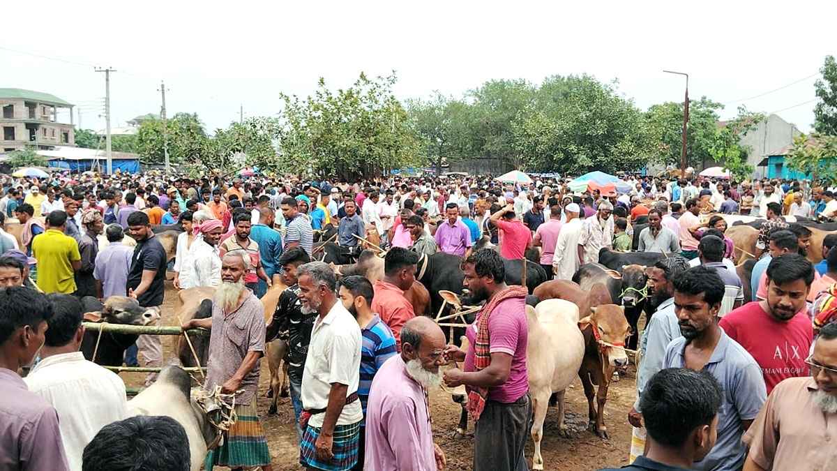 ঈদযাত্রায় মুখর গ্রাম, চাঙা স্থানীয় বাজার ও পশুর হাট