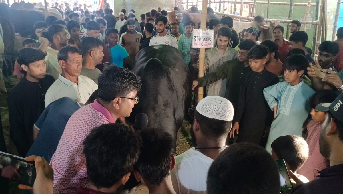 eid_hat-1