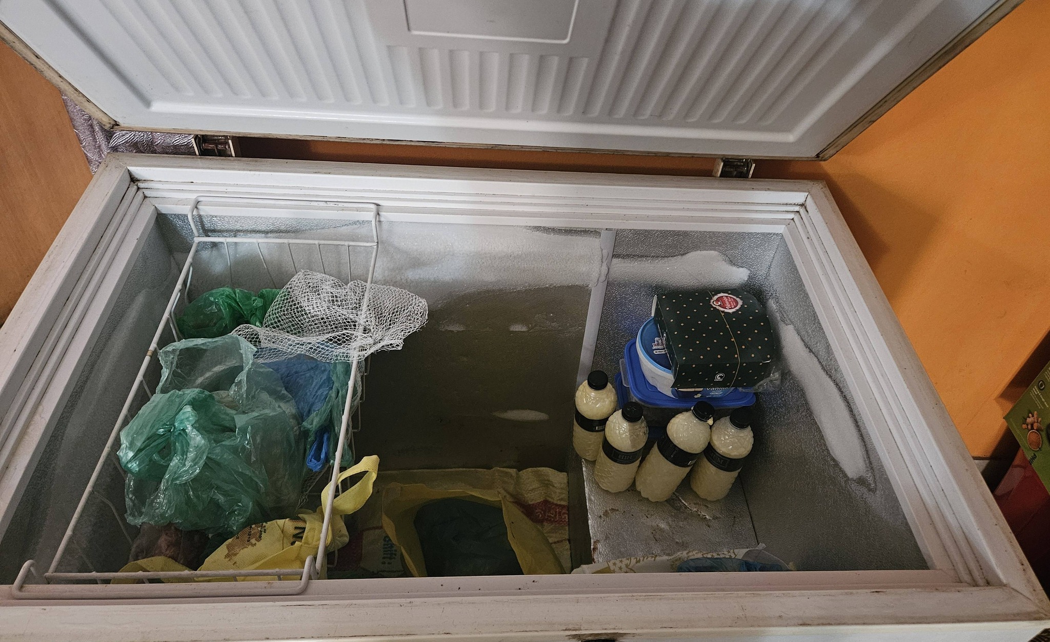 freezer_2 freezer_2