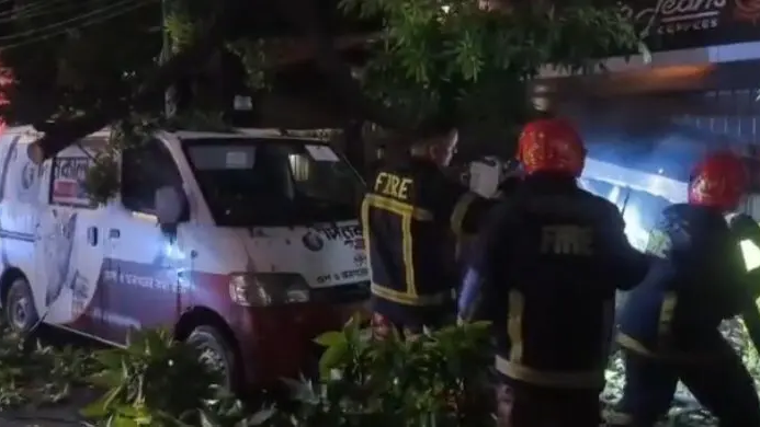 সাংবাদিকদের বহনকারী মাইক্রোবাসে আছড়ে পড়ল গাছ, উদ্ধার করল পুলিশ