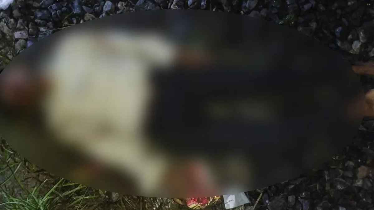 রেললাইনে টিকটক ভিডিও করতে গিয়ে প্রাণ গেল ২ যুবকের