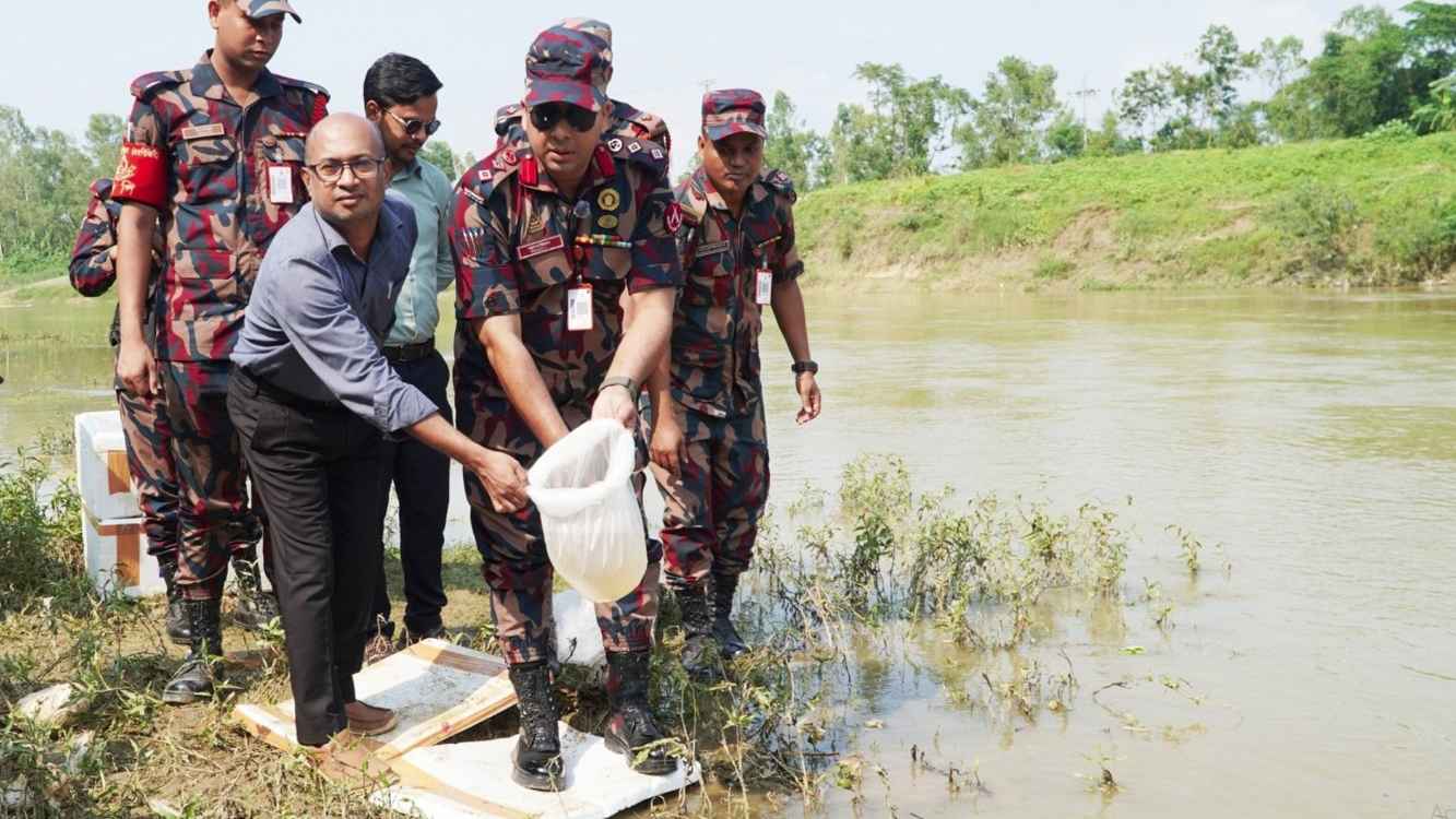 হবিগঞ্জে ২ কোটি টাকার ভারতীয় গলদা চিংড়ির রেণু পোনা জব্দ