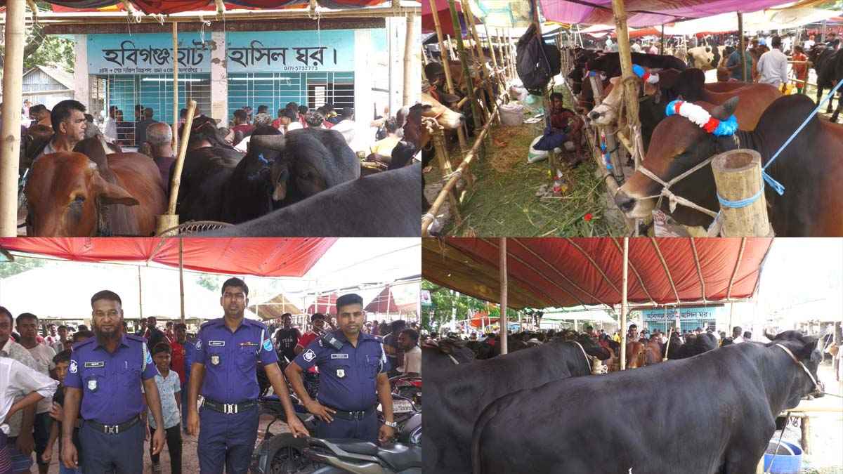 মাদারীপুরে শেষ মুহূর্তে জমে উঠেছে পশুরহাট, সতর্ক অবস্থানে পুলিশ