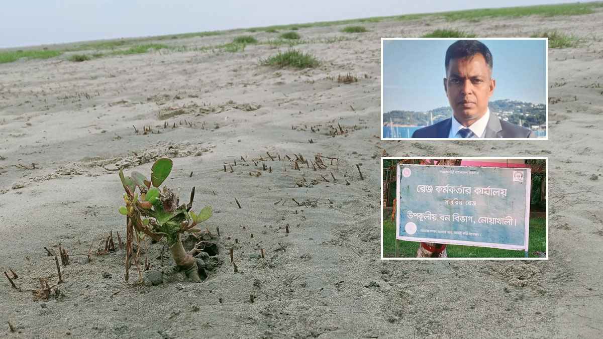 উপকূল রক্ষার বন উধাও, রেঞ্জ কর্মকর্তার বিরুদ্ধে লুটপাটের অভিযোগ