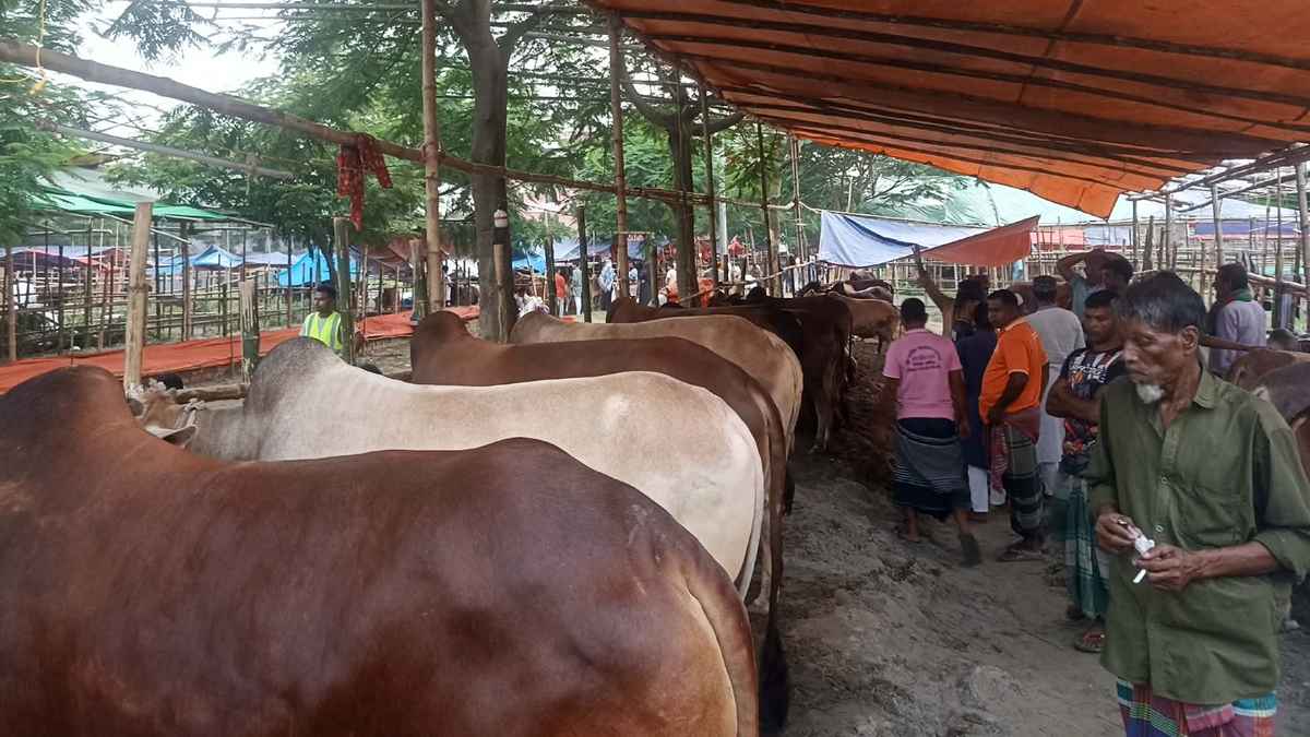 হাটে ক্রেতা থাকলেও বিক্রি নেই, শেষ ৩ দিনের আশায় বেপারীরা