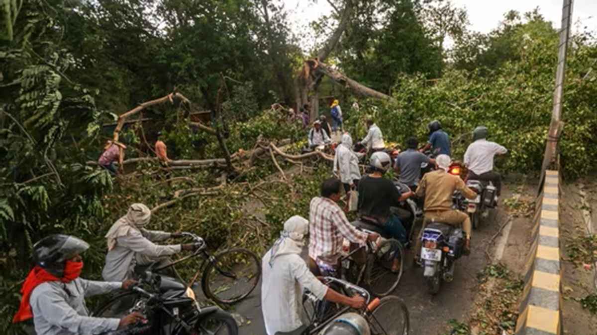 শক্তিশালী ঝড় ও ভারী বৃষ্টিতে লণ্ডভণ্ড উত্তর প্রদেশ, নিহত ৫৬