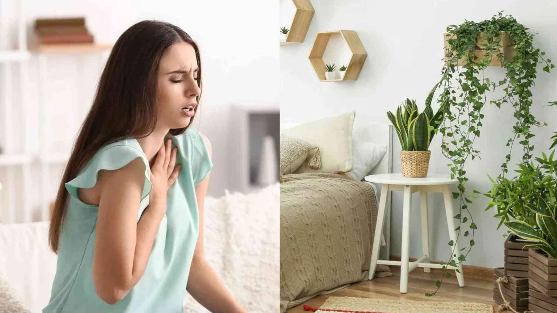 হাঁপানির সমস্যা আছে? ঘরে রাখুন এই গাছগুলো