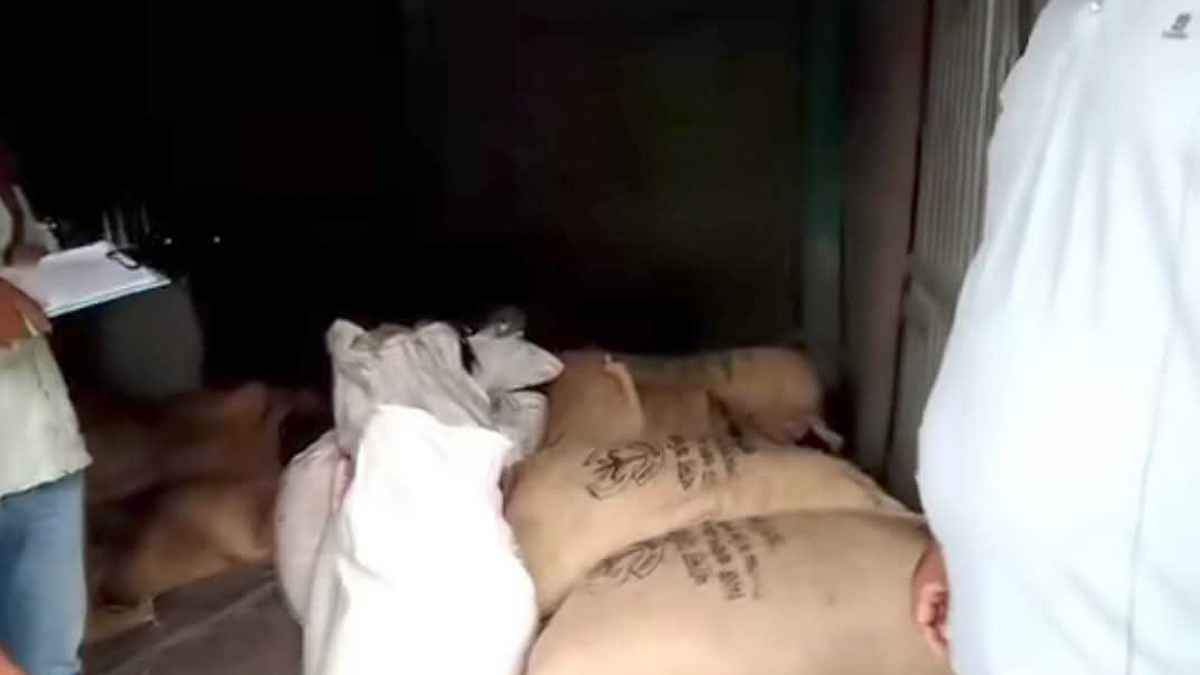 অভিযানের খবর পেয়ে পালল ব্যবসায়ী, জব্দ হলো ৪৬ বস্তা সরকারি চাল