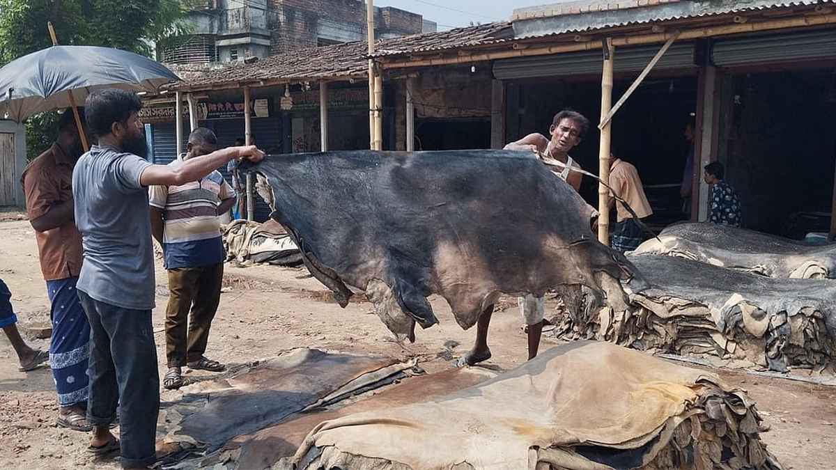 সিন্ডিকেটের কবলে রাজারহাটের চামড়া ব্যবসায়ীরা