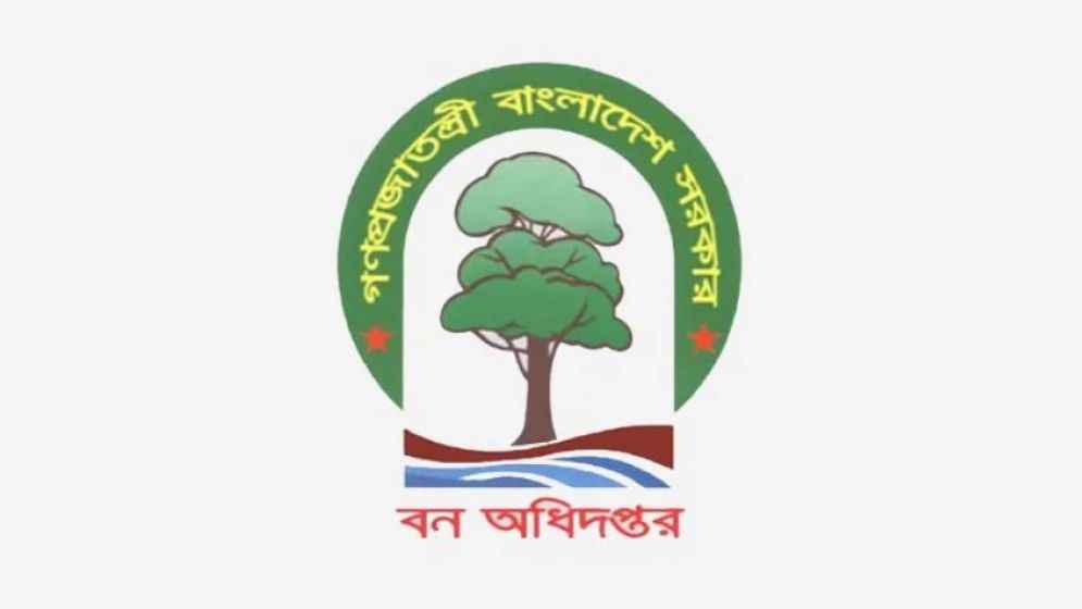 বন অধিদফতরে ৩৮২ জনের চাকরির সুযোগ
