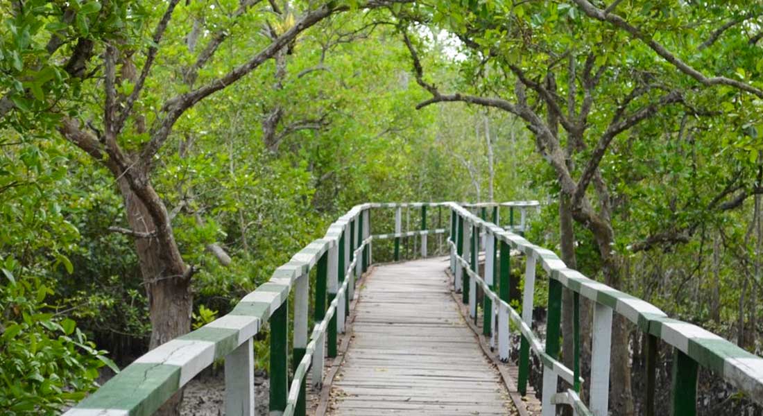 kalagachia-eco-tourism-park-satkhira