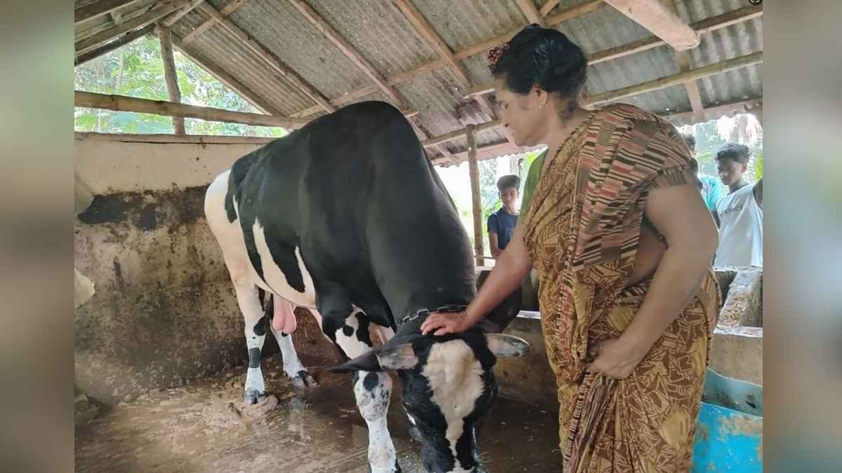 ‘৫ বছর ধরে সন্তানের মতোই আগলে রেখেছি রাজা মানিককে’