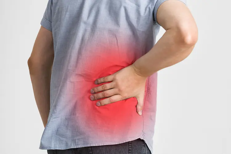 kidney