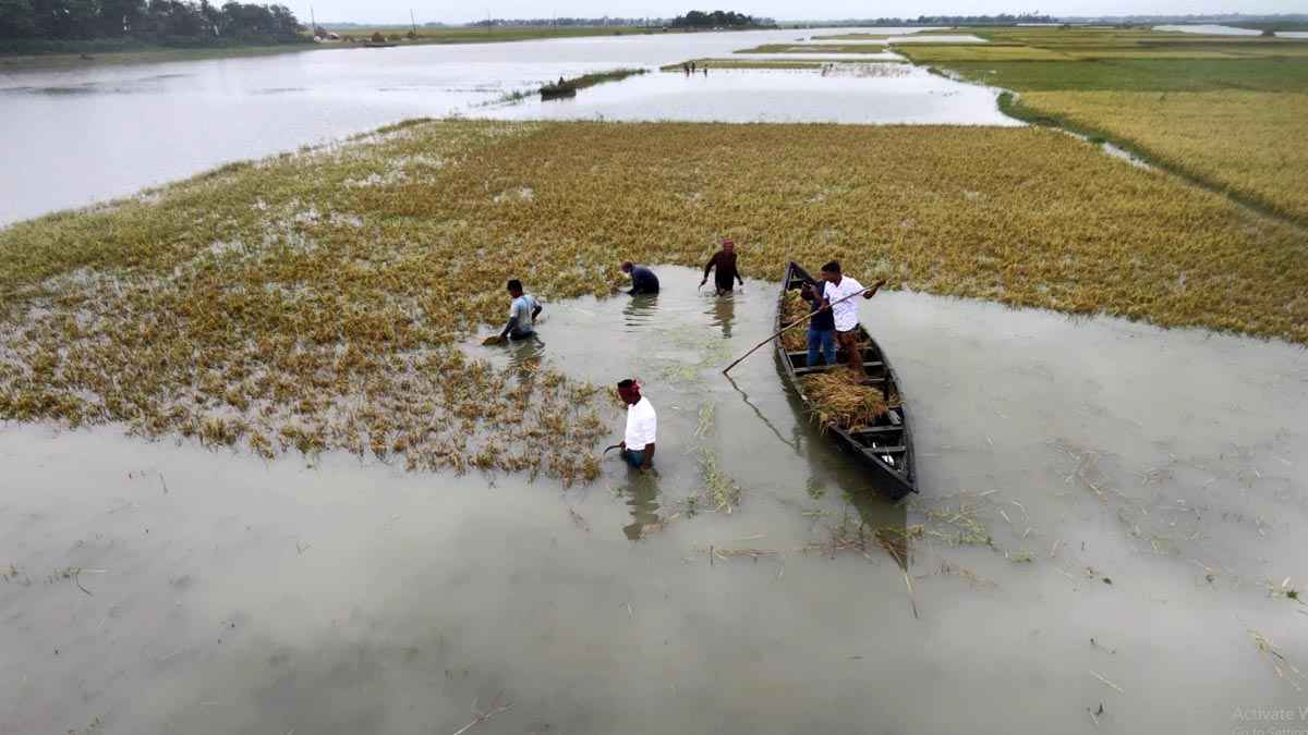কিশোরগঞ্জে নতুন করে তলিয়েছে ২ হাজার হেক্টর জমি