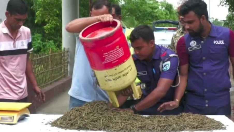 নাগেশ্বরীতে গাঁজাভর্তি সিলিন্ডার উদ্ধার, আটক ১