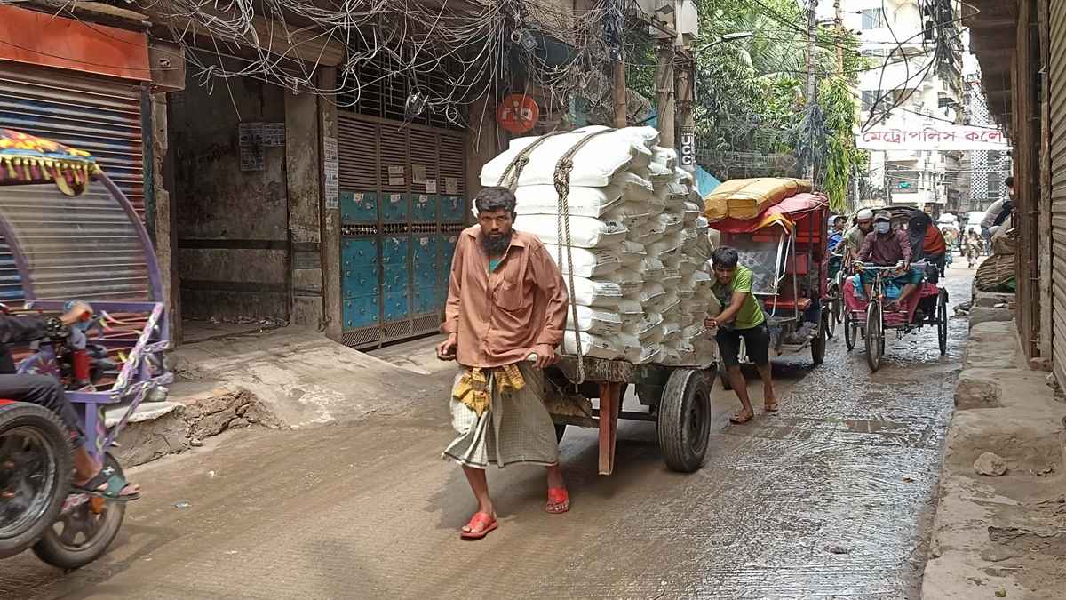 যান্ত্রিকতার দাপটে অস্তিত্ব সংকটে ঠেলাগাড়ি, অনিশ্চয়তায় শ্রমিকরা