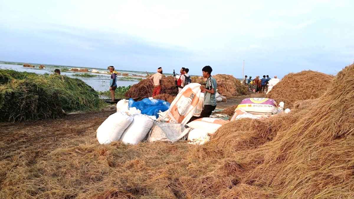 এক আকাশ রোদ, মাটির বুকে নিঃশব্দ আর্তনাদ