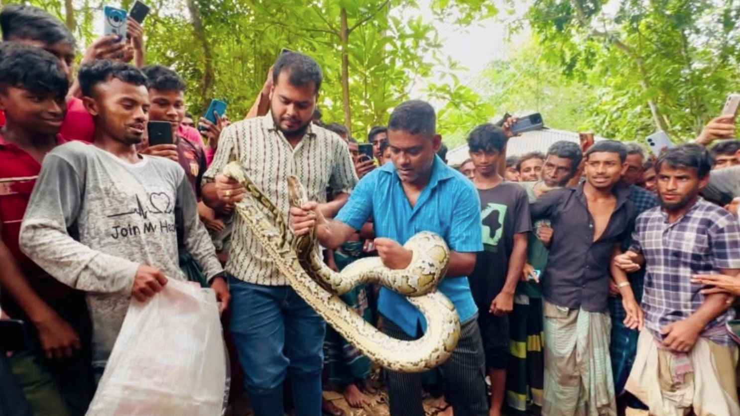 বসতঘরের সিলিং থেকে বিশাল আকৃতির অজগর সাপ উদ্ধার
