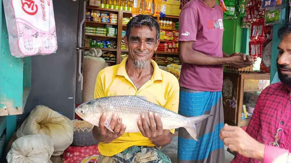 পায়রা নদীতে জেলের জালে ২ কেজির ইলিশ, ৭ হাজার টাকায় বিক্রি