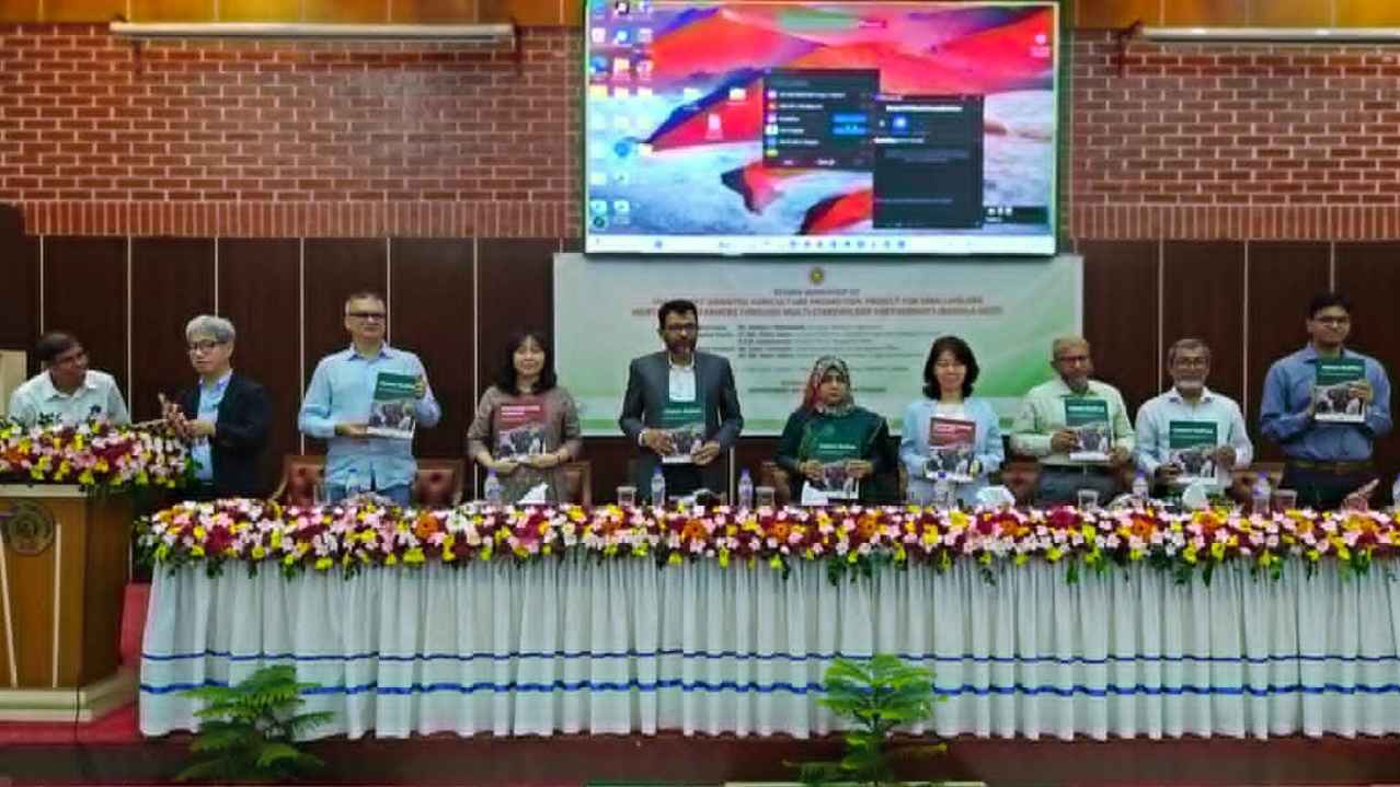 জাইকা ও ডিএইর বাংলা-শেপ প্রকল্পে সফলতা পাচ্ছেন ক্ষুদ্র কৃষকরা