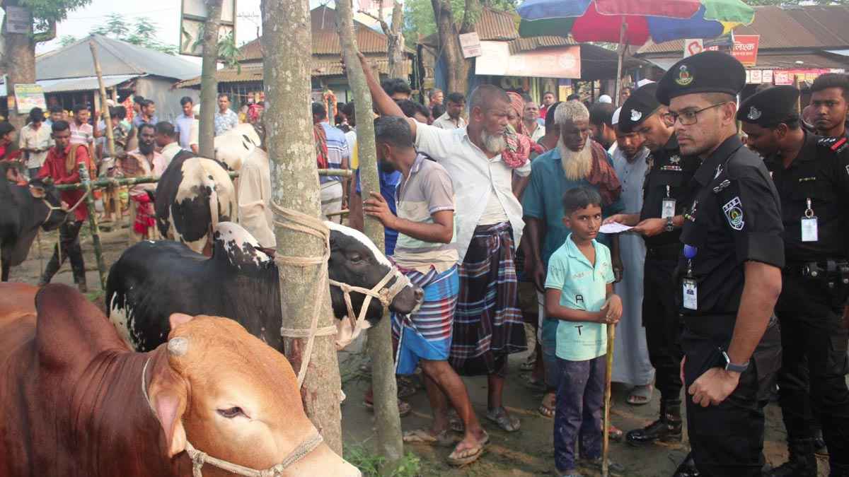 সিরাজগঞ্জে ঈদকে ঘিরে পশুর হাটগুলোতে নিরাপত্তা জোরদার