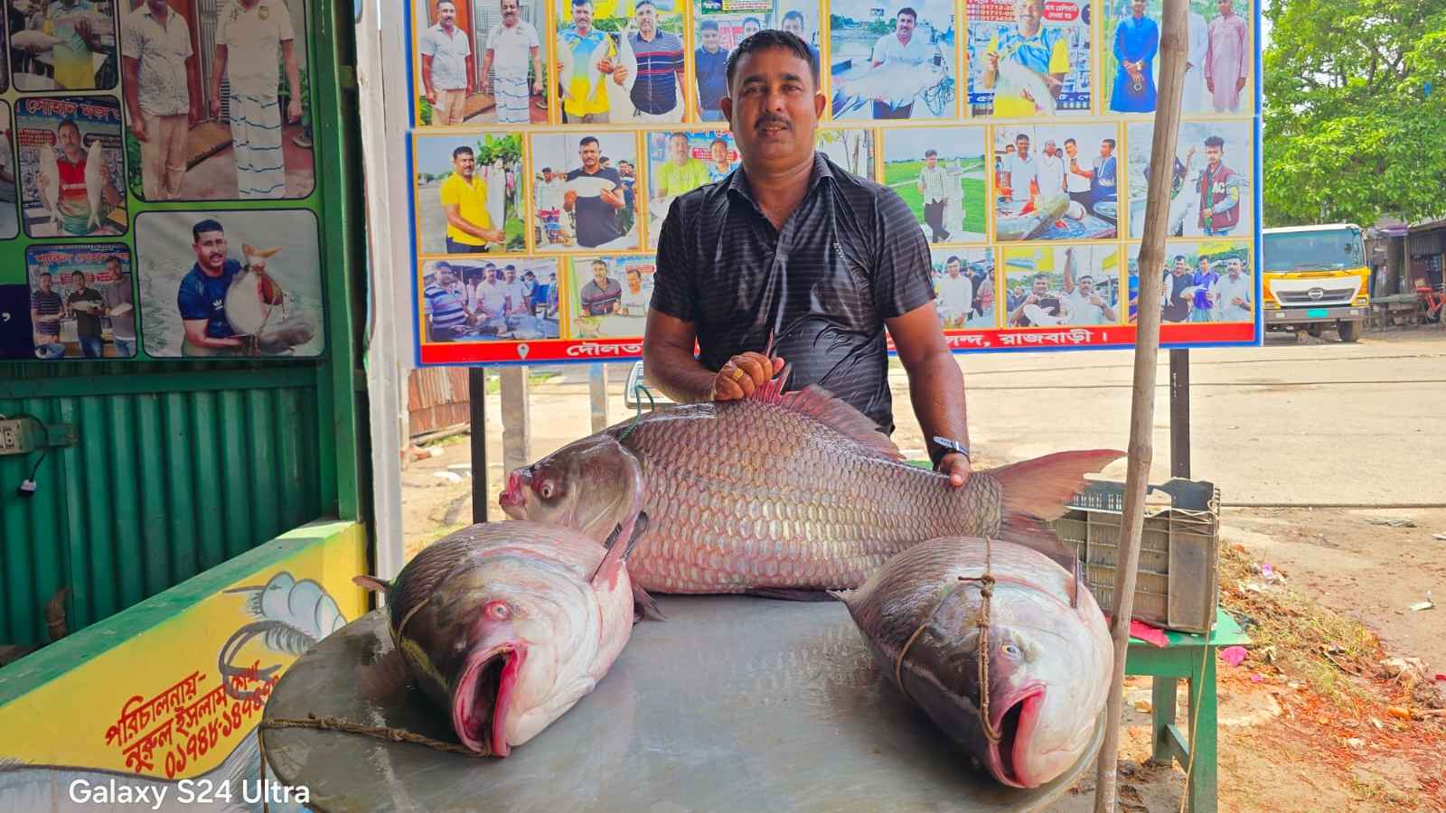 পদ্মায় ৬৩ কেজির ৩ কাতল, ১ লাখ ১৬ হাজারে বিক্রি