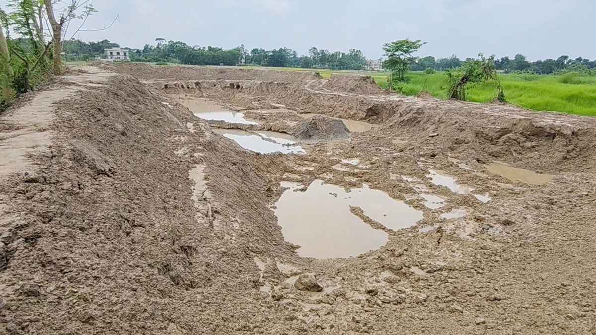 যুবদল ও যুবলীগ নেতার বিরুদ্ধে কৃষিজমি ও খাল ভরাটের অভিযোগ