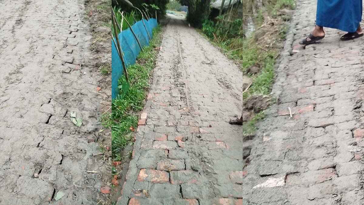 দুই লাখ টাকার রাস্তা ভেঙে গেল একদিনেই