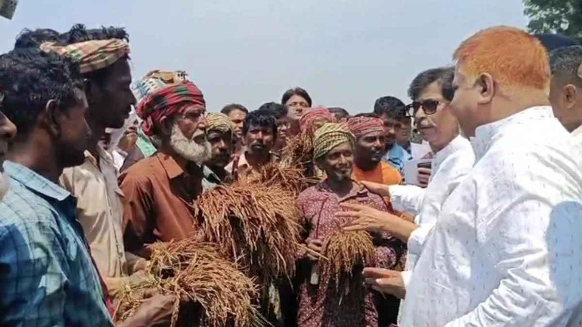 কষ্টে ফলানো ফসল হারানোর বেদনা অনেক: কৃষিমন্ত্রী 