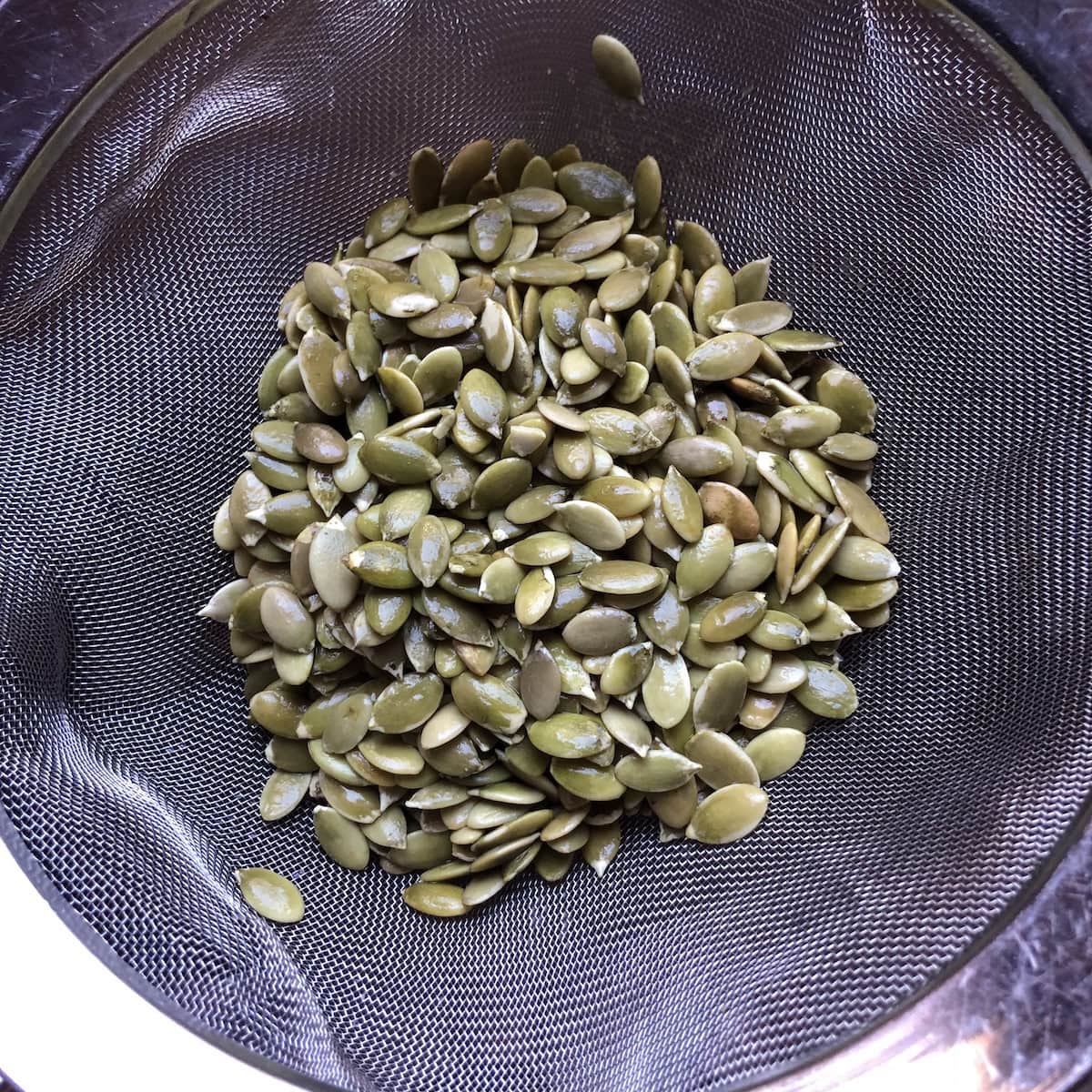 seeds