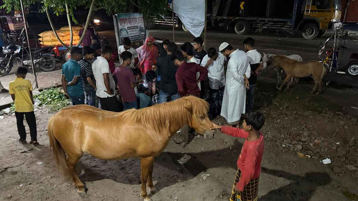নৃশংসতার ক্ষত বয়ে বেড়ানো ঘোড়া, মানবতায় মিলল আশ্রয়