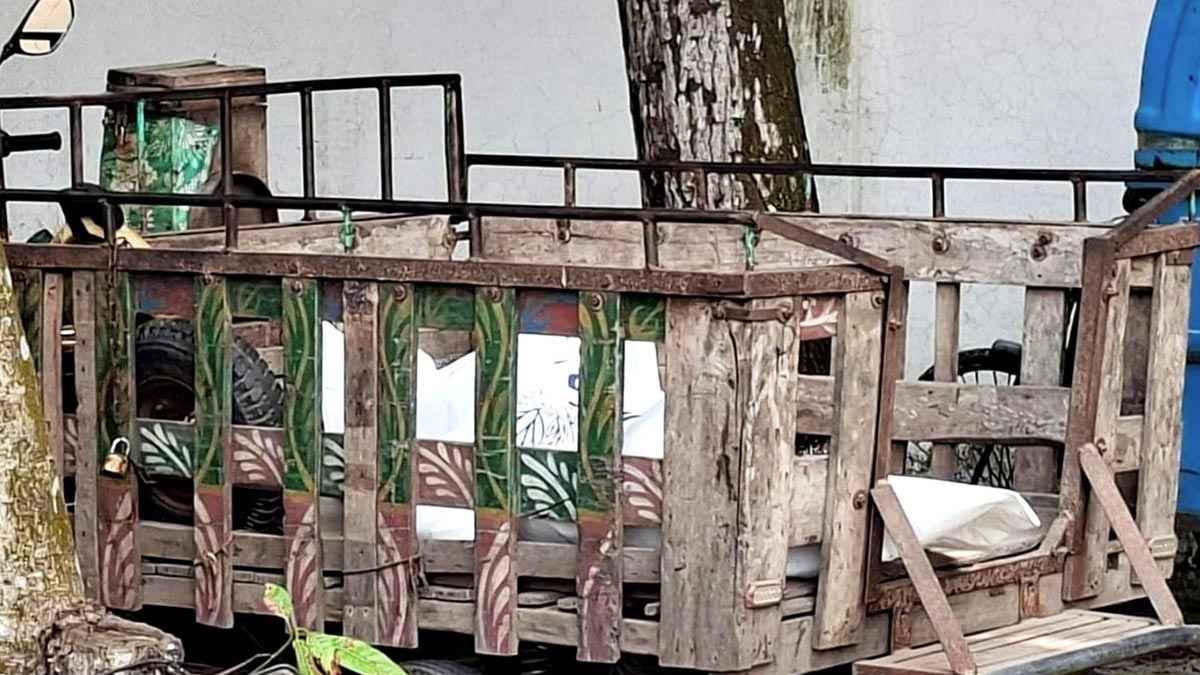 শ্বাশুড়ির পরকীয়া দেখে ফেলায় ছেলের বৌকে হত্যার অভিযোগ