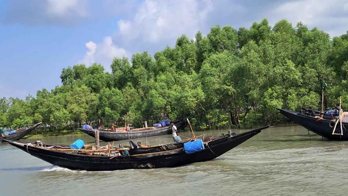 দেড় বছরে ৬১ বনদস্যু গ্রেফতার, তবুও সুন্দরবনে কাটেনি আতঙ্ক