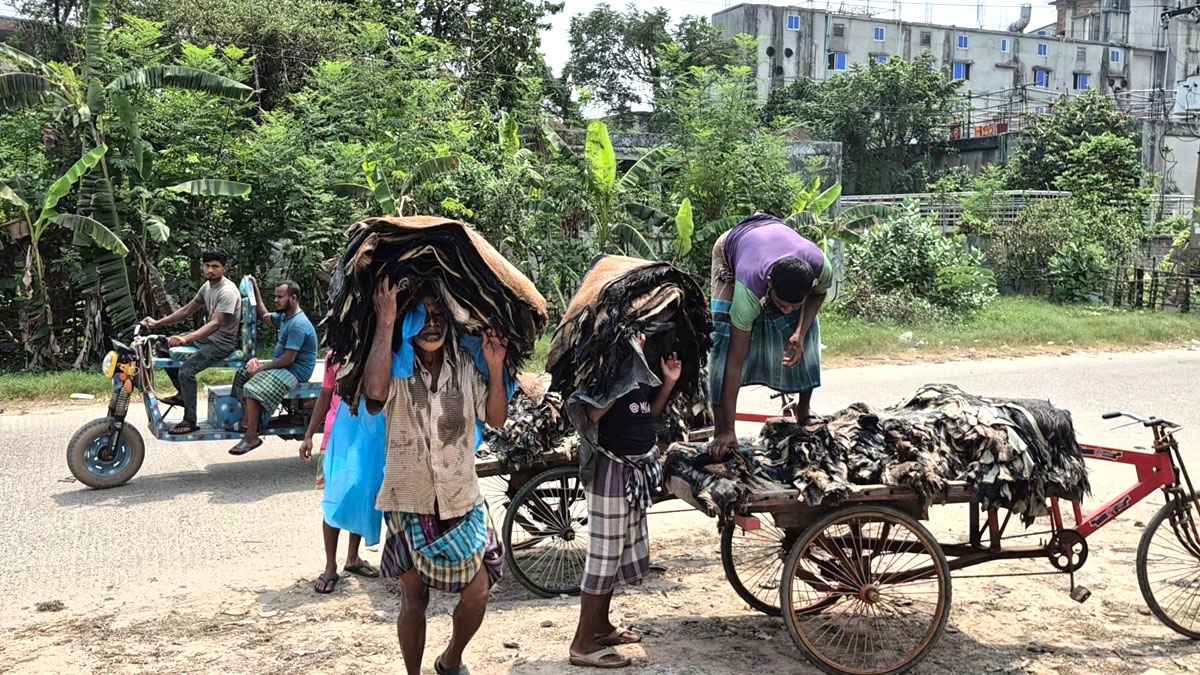 বিদ্যুৎ ও রাসায়নিক সংকটে চামড়া শিল্পে অনিশ্চয়তা
