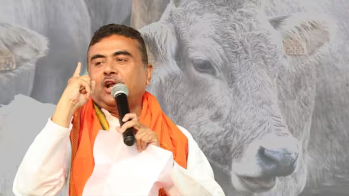 যুক্তরাষ্ট্রের নতুন শান্তি প্রস্তাব দিল ইরান