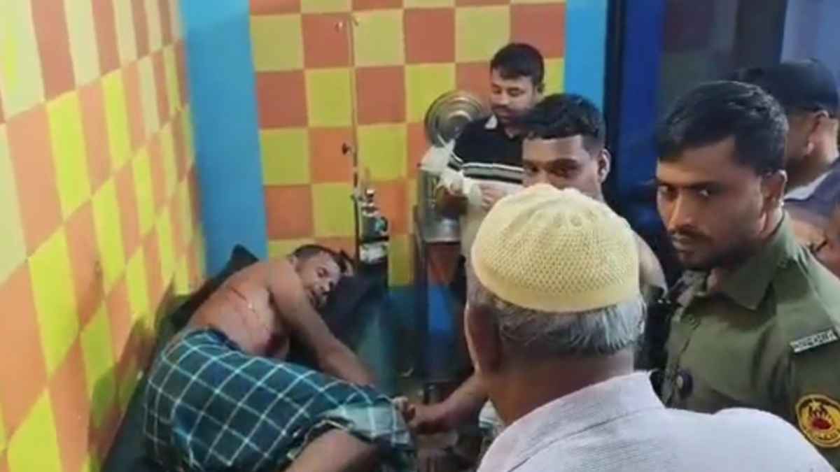 সীমান্ত পেরিয়ে বাংলাদেশে ভারতের বাঘ, হামলায় জখম নারীসহ ৩ জন