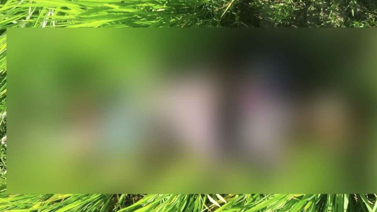 নিখোঁজের চার দিন পর ধানক্ষেতে মিলল কৃষকের মরদেহ