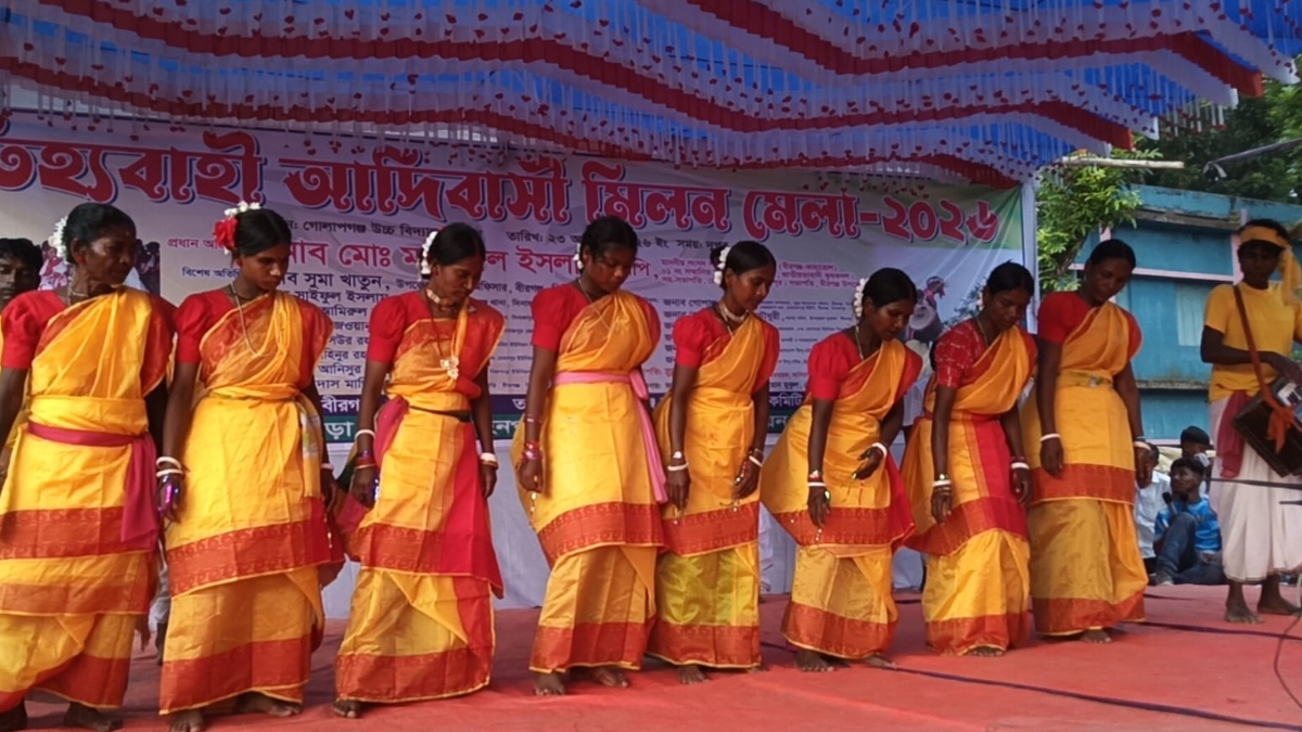 মেলায় সাংস্কৃতিক অনুষ্ঠান। ছবি: ঢাকা মেইল