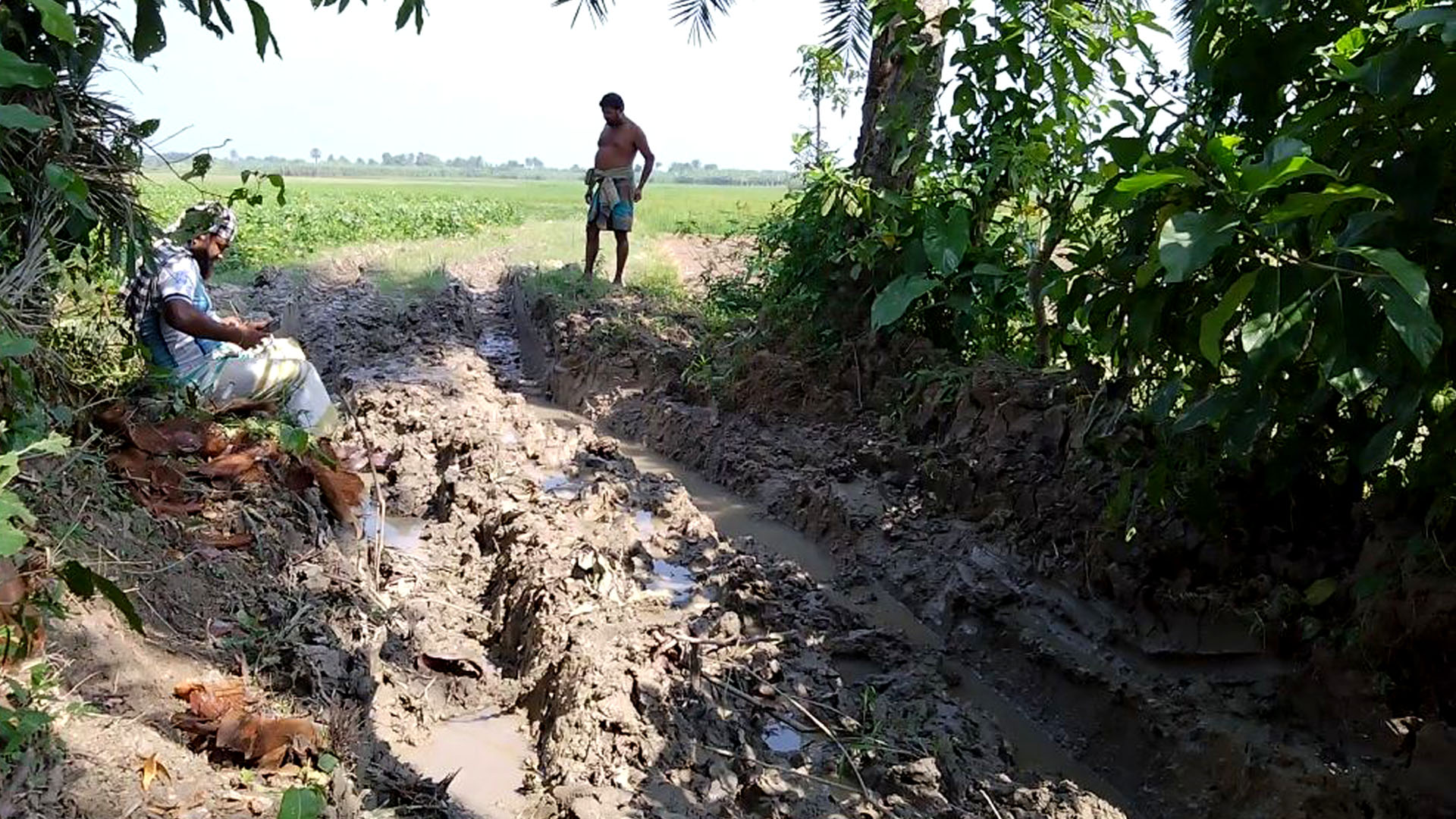 2e6f896f-fbeb-43e5-a06a-5afdc926774d 2e6f896f-fbeb-43e5-a06a-5afdc926774d