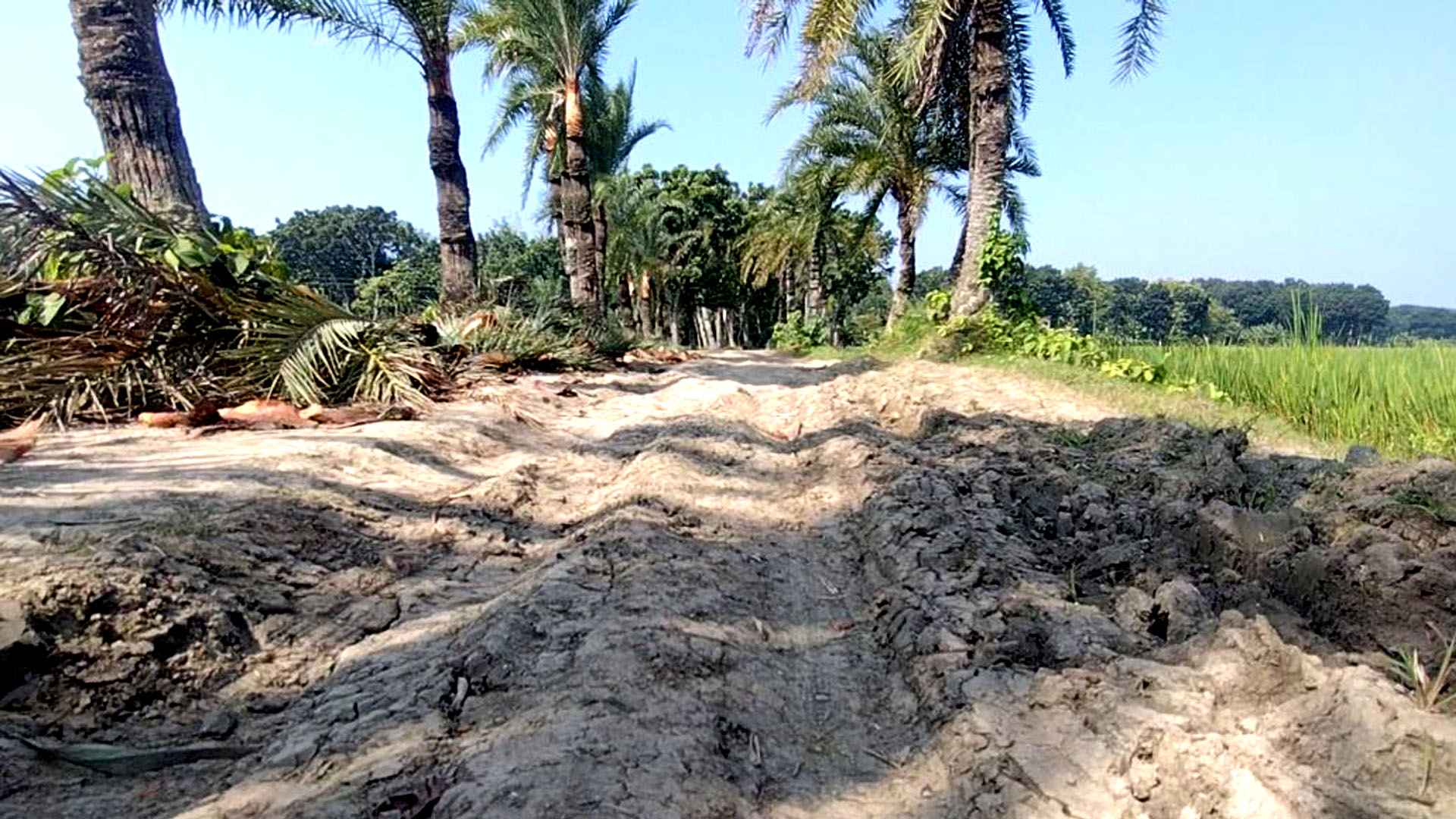 ৫৫ বছরেও পাকা হয়নি রাস্তা, দুর্ভোগে কালীগঞ্জের ১০ গ্রামের মানুষ