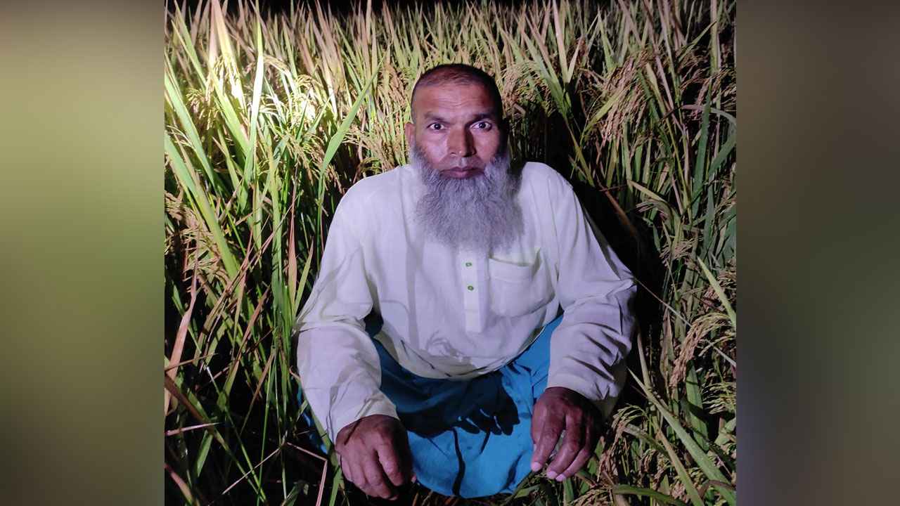 ধানখেতে আত্মগোপন করেও রক্ষা পেলেন না আ.লীগ নেতা